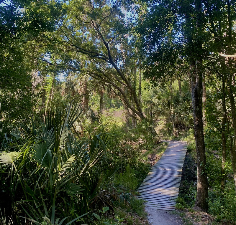 Alafia State Park Mountain Bike Rid